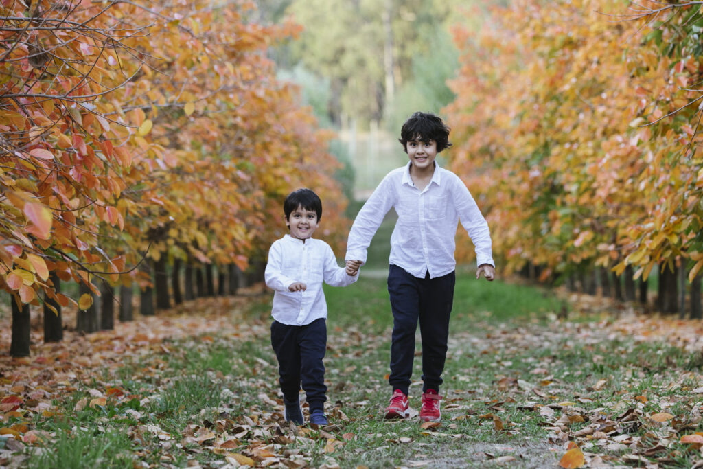 Two young brothers holding hands and running through vibrant autumn leaves during a family photography session at a Roleystone orchard in Perth.